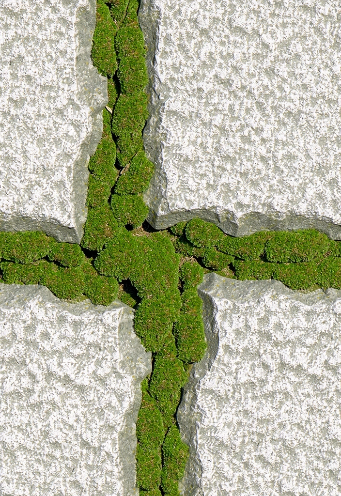 Resiliência financeira